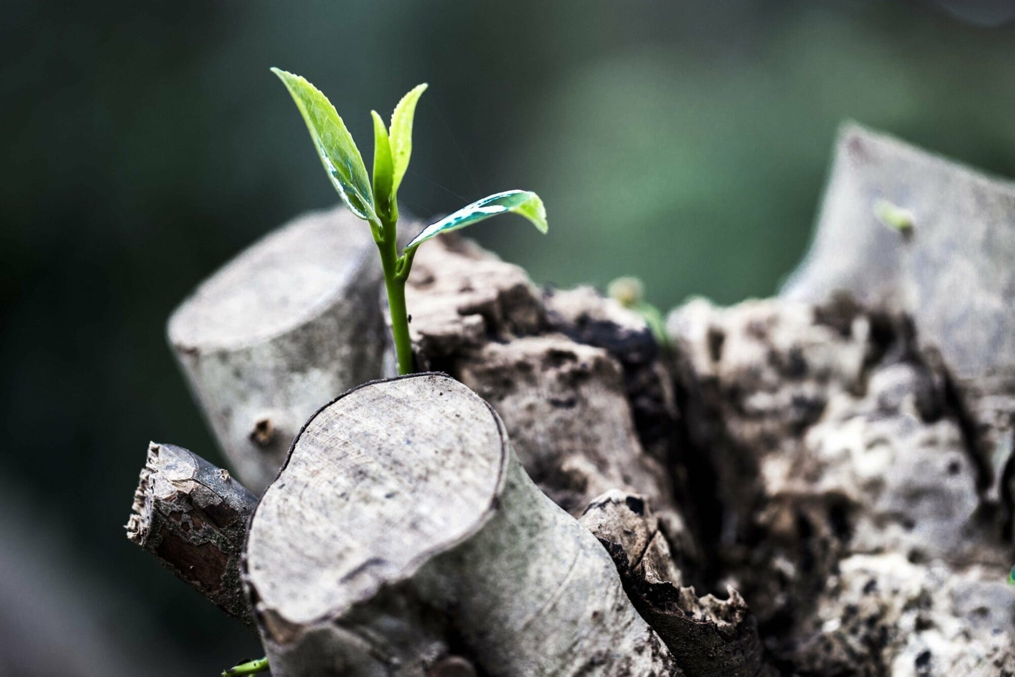 Como aumentar as vendas: integração marketing e CRM