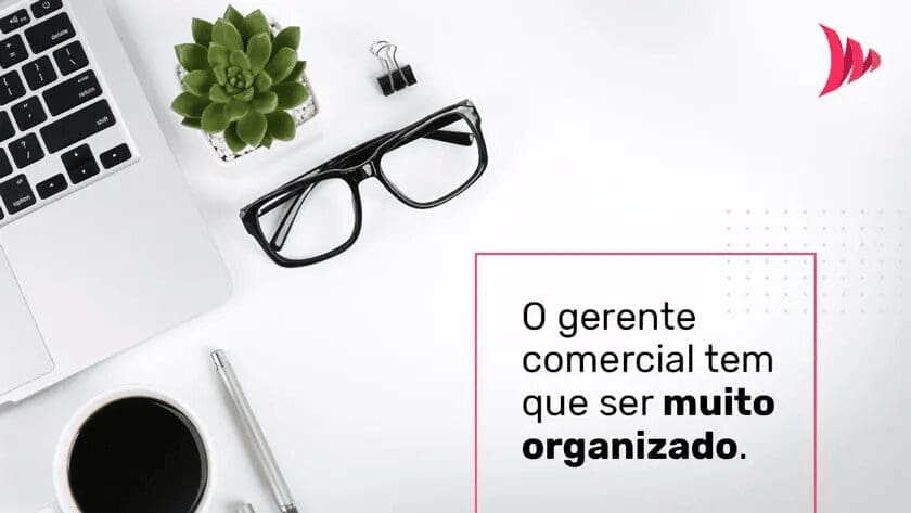 Organização do gestor comercial