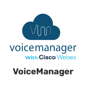 voice_manager