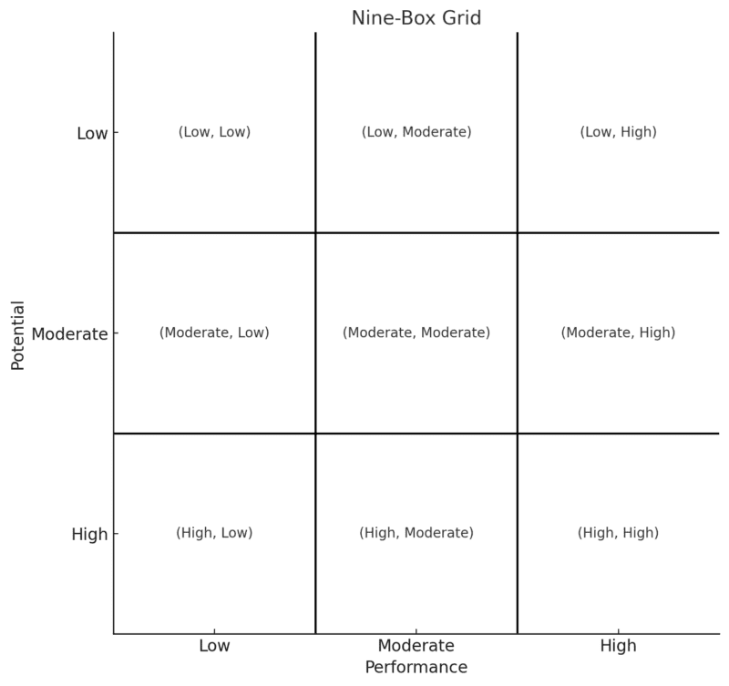 O que significam os 9 quadrantes da Matriz Nine Box?